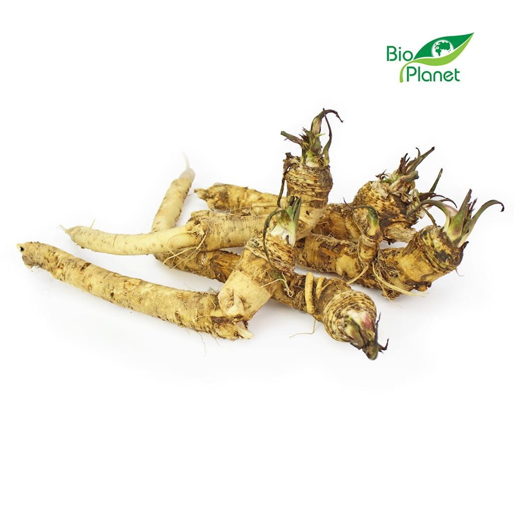 Raifort frais BIO (Polonais) (environ 300 g)