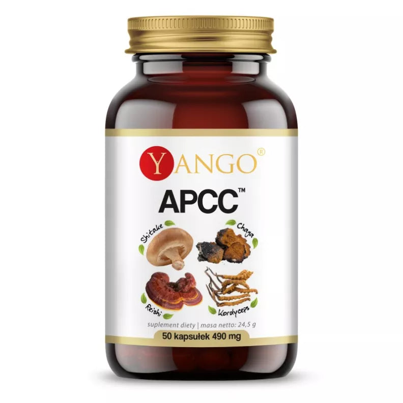 Apcc™ reishi kordyceps shitake chaga 50 κάψουλες YANGO