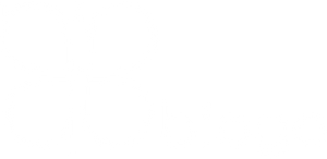 bihubogo.com