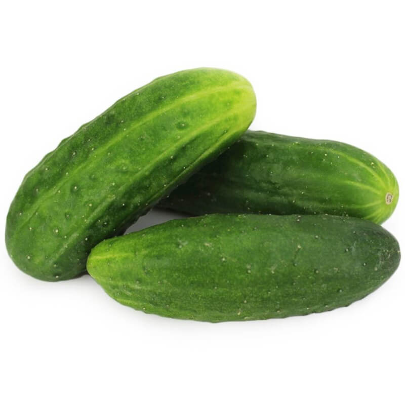 Concombre de plein champ BIO (polonais) (environ 1 kg)