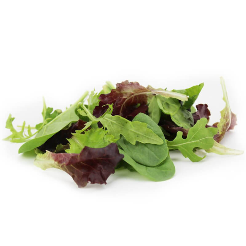 Mélange de laitue BIO fraîche et non lavée (environ 100 g)