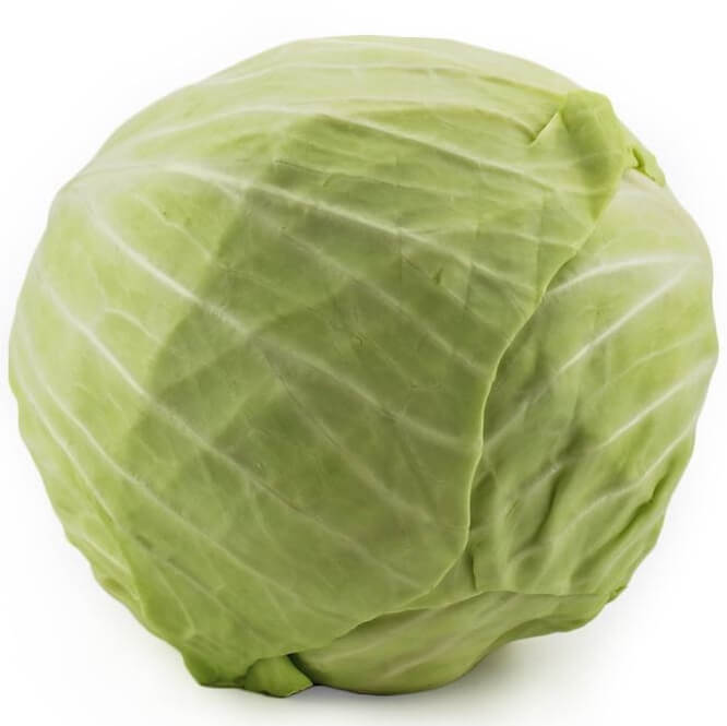 Conditionnement vrac (kg) - chou blanc frais BIO (environ 10 kg)