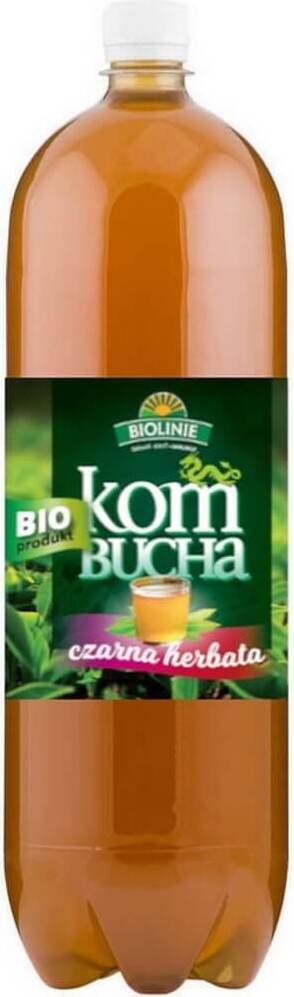 Thé noir Kombucha BIO 2 L - LIGNES BIO