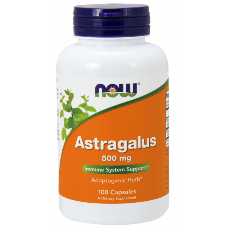 Astragale astragale 500 MG 100 gélules NOW FOODS