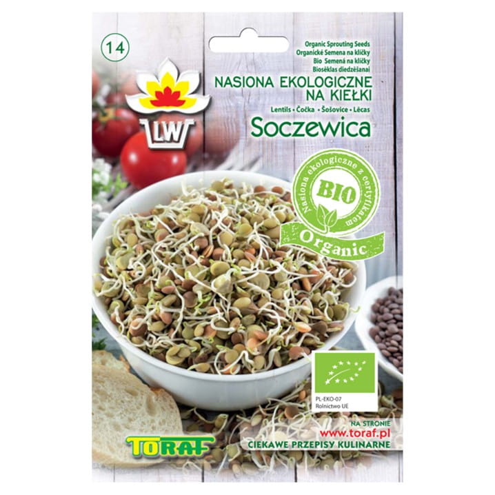 Graines à germer BIO - Lentilles BIO 30g TORAF