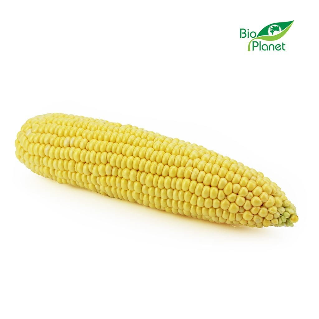 Maïs frais bio (environ 300 g)