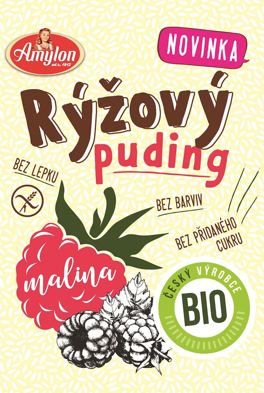Riz au lait framboise sans gluten BIO 40 g - AMYLON
